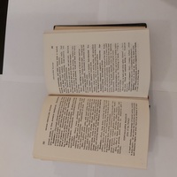 Repertorium Schroyens i Materia Medica Boericke